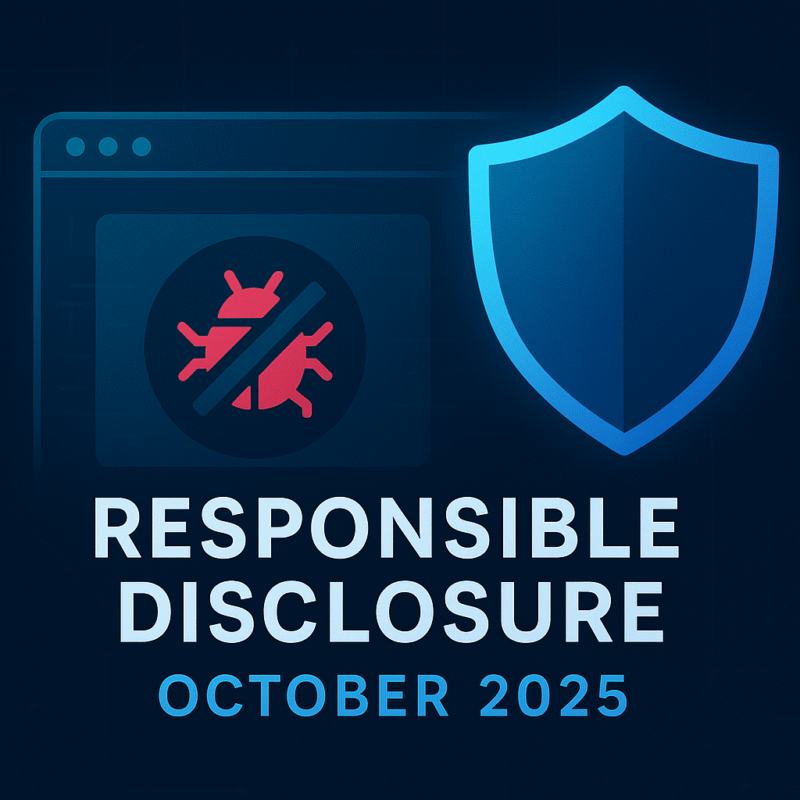 Making the Internet Safer, One Vulnerability at a Time